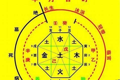 八字喜用神怎麼看|【八字喜用神怎麼看】八字新手必看！掌握「八字喜用神」輕鬆提。